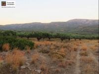Grundstück kaufen Lithines Kreta klein z7ubxb7e1rso
