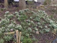 Grundstück kaufen Lütow klein 3r85c169guzk