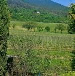 Grundstück kaufen Maikammer klein odj3qynif3nr