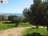 Grundstück kaufen Makrigialos klein tgt95n8y29k1