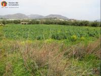 Grundstück kaufen Makrigialos, klein x3rf7hs0uro1