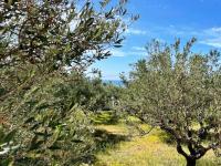 Grundstück kaufen Makry Gialos klein 3p95wv918u3h