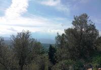 Grundstück kaufen Malaxa klein kgkn1uhyog8g