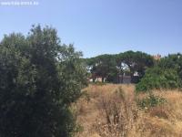 Grundstück kaufen Marbella-Ost klein cbc9g3mpdtr0