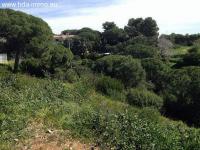 Grundstück kaufen Marbella-Ost klein dxvrr7jxne29