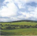 Grundstück kaufen Meisdorf klein 7h2zh8px83wx