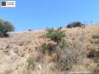 Grundstück kaufen Melambes Kreta klein ivr56md6j22u