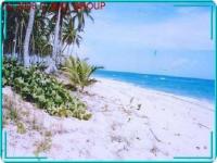 Grundstück kaufen Miches klein pv5qo0fmtx87