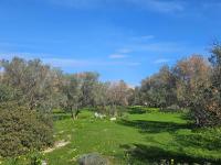 Grundstück kaufen Milatos klein 120pn7fbkh9d