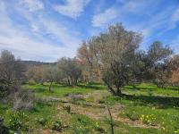 Grundstück kaufen Milatos klein l6o8crcent1j