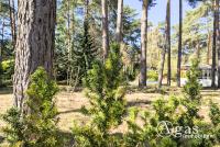 Grundstück kaufen Mittenwalde (Landkreis Dahme-Spreewald) klein klj7x3ni9811