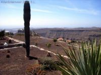 Grundstück kaufen Monte Leon klein qhwmdu3ljp04