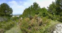 Grundstück kaufen Moraira klein ev5zb43jw3f1