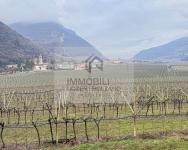 Grundstück kaufen Moringen klein 6k4djd9ptrlf