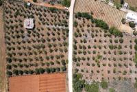 Grundstück kaufen Mouzouras klein 11qc7fjucf3f