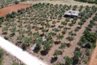 Grundstück kaufen Mouzouras klein 8xgwjngd33oz