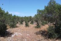 Grundstück kaufen Mouzouras klein g826eoi5i85c