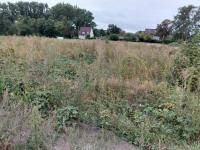 Grundstück kaufen Müden (Aller) klein dpc14xas8dis