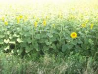 Grundstück kaufen München klein 8kxw1ubngqdq