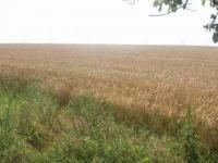 Grundstück kaufen München klein un4wkj9yi0j3