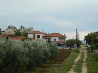 Grundstück kaufen Nea Flogita klein 051khos5yupl