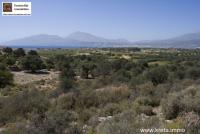 Grundstück kaufen Neo Kalamaki klein ocl1rsrz179i