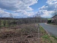 Grundstück kaufen Neuensalz klein scewzdrv921a