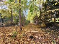 Grundstück kaufen Oelsnitz/Vogtland klein 9qik38ewxn2d