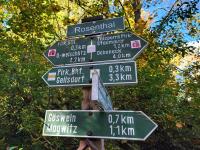 Grundstück kaufen Oelsnitz/Vogtland klein ijcpct3onzq1