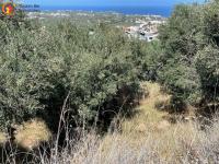 Grundstück kaufen Old Hersonissos klein ujoup1n8qssl