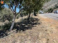 Grundstück kaufen Old Hersonissos klein wm3v6g7laels