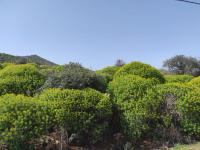 Grundstück kaufen Omprogialos klein 51b7w22iunaz