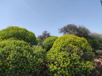 Grundstück kaufen Omprogialos klein mfo4m5rsi774