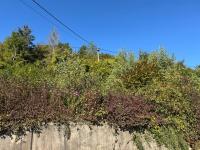 Grundstück kaufen Onsdorf klein k8f8co9fxpj7