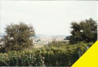 Grundstück kaufen Oroszlány klein 1jpcjzhnb6fc