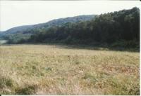 Grundstück kaufen Oroszlány klein sramg1d2bufg