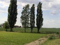 Grundstück kaufen Oschatz klein 5b78fa4ij2eg