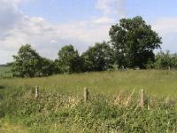 Grundstück kaufen Oschatz klein of9a3fd4iu8p