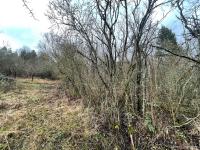 Grundstück kaufen Ostheim vor der Rhön klein 8r2m3csv0fgo