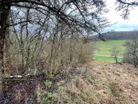 Grundstück kaufen Ostheim vor der Rhön klein 948ctq0c51nd