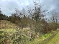 Grundstück kaufen Ostheim vor der Rhön klein gp5w4nh4ygut