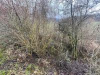 Grundstück kaufen Ostheim vor der Rhön klein o7nchk9fpvgz