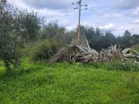 Grundstück kaufen Pagkalochori klein hpq8zxdwfnju