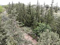 Grundstück kaufen Patima klein 2ykdrkwqcs60