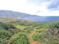 Grundstück kaufen Pelagia klein dtwh0l1ap2to