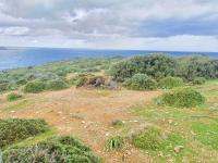 Grundstück kaufen Pelagia klein sfzpcak4y112