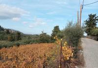 Grundstück kaufen Pemonia klein 13w76mevfc1v