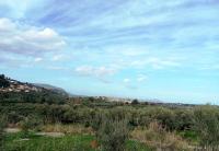 Grundstück kaufen Pemonia klein hj3jgxmkfa61