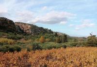 Grundstück kaufen Pemonia klein qu2jn5sskvxg