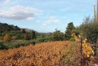 Grundstück kaufen Pemonia klein spr3tjz660nv